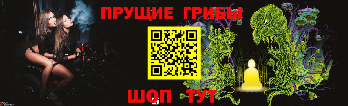 Галлюциногенные грибы Magic Shrooms Рязань